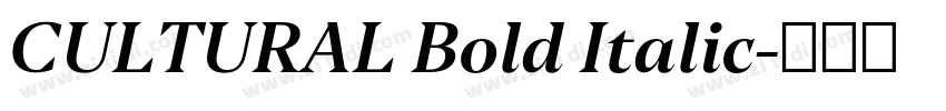CULTURAL Bold Italic字体转换